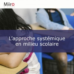L’approche systémique en milieu scolaire
