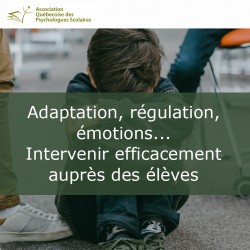 Adaptation, régulation, émotions… Intervenir efficacement auprès des élèves